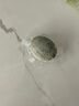 神丹松花鸭皮蛋 溏心砂芯变蛋湖北特产单枚50g+   12枚 实拍图