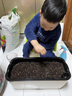 水生田懒人自吸水花盆家用蔬菜种植神器长方形塑料大花盆家庭阳台种菜箱  【水滴大款】吸水懒人盆4个 实拍图