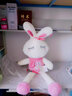 艾乐芙毛绒玩具小兔子公仔可爱长腿兔娃娃女孩大抱枕朋友生日情人节礼物 粉色眯眼兔 1.2m 实拍图