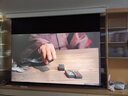 RedGoldLeaf红金叶电动拉线幕布投影仪幕布家庭影院8K高清抗光幕布电动遥控幕布投影幕布 【智能拉线幕】纳米白 100英寸16:9 【平整如镜】 实拍图