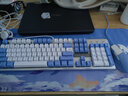 本手机械键盘有线键鼠套装 键盘鼠标猫耳朵耳机三件套背光可爱男女生台式电脑笔记本电竞游戏专用外设 蓝白（白光）茶轴机械键盘+白色鼠标 实拍图