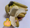 【不打药】国产高山甜糯香蕉 当季新鲜水果芭蕉薄皮整箱青果发货 带箱4.5kg【精品装】 实拍图