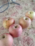 红富士苹果冰糖心丑苹果正宗山西运城时令生鲜脆甜苹果新年年货 9.5-10斤【大果】75-80 实拍图