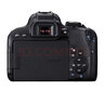 佳能/Canon 600D 700D 750D 760D 800D 二手单反相机新手入门旅游高清相机 800D【单机】 99新 实拍图