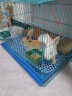 HKML兔笼子家用大号加密幼兔小兔笼兔子笼带厕所室内宠物兔窝荷兰猪笼 蓝色特大60*40*40（基础套餐） 晒单实拍图