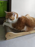 美悦宠物 实木猫抓板磨爪器猫爪板护沙发瓦楞纸磨爪板猫咪用品猫窝大号 长60厘米  实木瓦楞纸猫沙发 实拍图