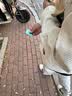 肯奈迪短袖衬衫男夏季冰丝男士休闲外套夏季宽松衬衣上衣服男装 黑色-五分袖冰丝衬衫 2XL 【170-178cm】 实拍图