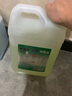 好宜佳【好评1万】84消毒水家用拖地消毒液宾馆酒店环境高效巴氏消毒剂 500克单瓶装84消毒水 实拍图