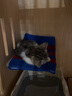 腆宠猫笼猫柜子猫窝猫别墅实木猫柜猫笼子超大号家用豪华猫舍猫屋猫房 实拍图