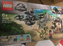 乐高LEGO 侏罗纪恐龙世界 恐龙模型 儿童拼装积木玩具 男孩女孩礼物 76940 霸王龙化石展览 实拍图