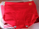 猫人内裤女士本命年红色高腰纯棉档石墨烯抗菌结婚全棉女式内三角裤头 253高腰【4条装】送平安符 XL 【建议120-140斤】 实拍图