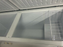 雪贝娜冰柜商用大容量全冷冻家用双温卧式冷柜展示柜 798单温智能温控 晒单实拍图