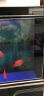森森鱼缸专用T8 变色LED三基色七彩照明灯管水族箱 草缸造景变色LED灯 120cm 针插三色变色18W（无电源线） 实拍图