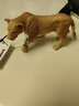 思乐（Schleich S）仿真动物模型 老虎狮子狼豹白虎猞猁男女孩儿童玩具生日礼物3+ 母狮子14825 实拍图