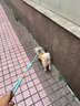 憨憨宠狗狗胸背带 工字背牵引绳中小大型犬柯基金毛防爆冲防挣脱带反光 雾霾蓝胸背带 带反光条 S码 推荐8-18斤内使用 实拍图
