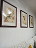 佑圣新中式客厅装饰画餐厅三联挂画郎世宁沙发背景墙有框画壁画挂画 郎世宁A款三联典雅红褐色【实木框 】 60*80CM 实拍图