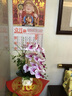 谷朵儿 PU手感仿真花蝴蝶兰套装客厅假花家居饰品装饰花餐桌摆放花艺过胶 粉芯白 实拍图