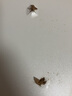 梵俪琳墙上置物架隔板墙面墙壁木板三角置物板挂墙支架托架挂架货架子 白色 100*20【带三个支架】 实拍图
