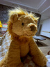 Jellycat波浪毛狮子可爱毛绒玩具公仔陪睡安抚玩偶潮玩送礼娃娃生日礼物 波浪毛狮子 Large 实拍图