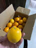 江西赣南早脐橙整箱当季新鲜早橙子榨汁水果礼盒皮薄多汁节日团购 【实惠】净重9斤单个150g+ 实拍图