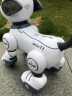 stabo玩具男孩女孩智能机器狗机器人故事机遥控1-6早教儿童节礼物 智能机器狗 晒单实拍图