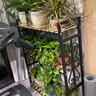 金羡花架阳台实木多层多肉绿萝室内花架子大盆景落地式铁艺花盆架带轮 四层长60*宽30*高180黑架+碳烤木 实拍图