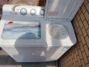 小天鹅 10公斤大容量洗衣机半自动 家用双缸品质电机洗脱分机强劲动力脱水甩干机 洁净不伤衣 实拍图