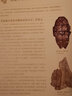 包邮 星球研究所 这里是中国3 华夏文明史诗 中国3 什么是重庆 中国国家地理的自然课 少年中国地理系列 这里是中国 京城绘山川风物 科普读物 给孩子的中国国家地理海错图笔记 中信书店 少年中国地理  实拍图