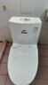 FUNSUN 墙排式马桶后排座便横排后出水坐厕家用直冲式后排墙出水坐便器 B款墙排式 实拍图