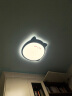 雷士（NVC）吸顶灯儿童氛围卧室灯创意可爱萌宠造型卡通现代简约 龙猫蓝色 实拍图