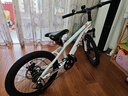 喜德盛青少年自行车童车中国风20/22寸铝架碟刹变速6-10男女孩山地车 20寸白/镭射红-内走线 实拍图
