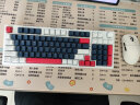 首席玩家WK980机械键盘三模无线蓝牙有线混光98配列电竞游戏办公键盘 蓝白 茶轴 晒单实拍图