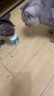 凯锐思 幼猫成猫咪猫用营养膏化毛膏猫咪吐毛球调肠胃排毛英短蓝猫120g 【化毛补营养搭配】化毛膏*1支+维生素1瓶 实拍图