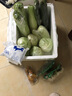東昇供港刺青瓜500g 黄瓜 凉拌炒菜  广州蔬菜新鲜配送 实拍图