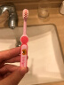 小树苗儿童牙刷宝宝乳牙刷婴儿口腔清洁2支套装蓝+粉 1-3岁粉+粉 晒单实拍图