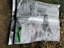 巴斯夫百泰60%吡唑醚菌酯代森联霜霉病疫病叶斑病炭疽立枯病农药杀菌剂 100g*1袋 实拍图