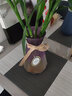军英（JUNYING） 军英 玻璃花瓶彩色磨砂透明水培植物插花瓶客厅餐厅摆件花瓶 HP-15B款24*13cm 1只装 实拍图