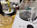 功夫玻璃茶具套装家用一体电陶炉煮茶器茶盘整套茶台三合一养生花茶壶烧水壶加厚耐热泡茶壶 悦(一体炉盘/白)进水壶+自动(楼阁)+六色把 实拍图