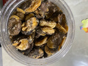 小休梦 新货大罐装 兰花豆蚕豆  香酥馋嘴豆下酒菜小吃零食 炒货 蚕豆 香辣味兰花豆1斤 净重500gx1罐 实拍图
