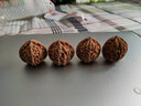 彩荷文玩核桃赌青皮麻核桃四座楼狮子头闷墩磨盘把件 满天星狮子头(51-52mm一对) 实拍图