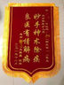 瑞耀锦旗定制锦旗定做感谢医生老师定制赠送幼儿园教师物业月嫂生日订做美容院高档植绒装修旌旗制作 立体镀金字（豪华大龙须）40*60cm 实拍图