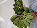 梦芷广西小米蕉新鲜香蕉酸甜拇指小香蕉青色发货（小个品种催熟食用） 净重 5斤 实惠装 实拍图