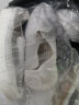 翰洋洁净（HANYANGCLEAN） 防静电鞋 无尘鞋 洁净鞋 静电鞋 无尘车间工作鞋洁净室小白鞋 防尘鞋 软底加厚劳保鞋 白色(PU软底） 38 实拍图