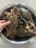 【活鲜】喵和渔梭子蟹公蟹鲜活大螃蟹飞蟹 肉蟹海鲜鲜活蟹类 6-7两/6只 肉蟹 实拍图