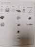 大猫英语分级阅读五级1教师用书 Big Cat（适用于小学五年级） 实拍图