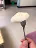 【顺丰】湖北百里洲黄花梨砂梨现摘新鲜脆甜雪梨子沙梨翠冠梨 普通快递 5斤 实拍图