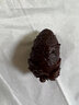 滋滋铺子松树塔盐水煮松塔松子大兴安岭特色美食小朋友爱w 500g 实拍图