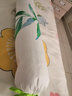 茶礼世家圆枕头颈椎枕睡觉专用荞麦壳决明子糖果圆形圆柱枕睡眠劲椎护颈枕 热敷款（20味中草） 高级灰 实拍图