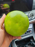 攸竹新鲜青皮葡萄柚子 黄金葡萄柚 爆汁葡萄柚 青皮西柚皮薄多汁肉嫩 3斤 普通装 实拍图