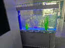 欧宝鱼缸水族箱客厅大型家用生态玻璃水族箱金鱼缸屏风玄关 1.5米长 底滤 实拍图